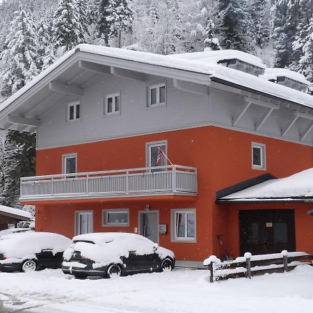 Alpen Appartements Viehhofen - Incl Sommercard Zell Am See فيهوفن المظهر الخارجي الصورة