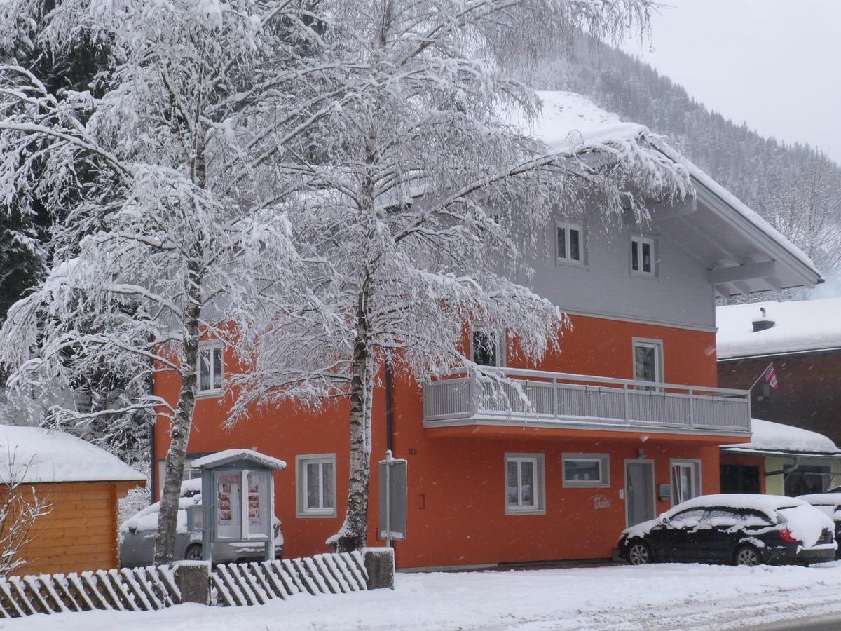 Alpen Appartements Viehhofen - Incl Sommercard Zell Am See فيهوفن المظهر الخارجي الصورة
