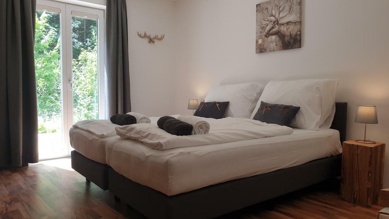 Alpen Appartements Viehhofen - Incl Sommercard Zell Am See فيهوفن المظهر الخارجي الصورة